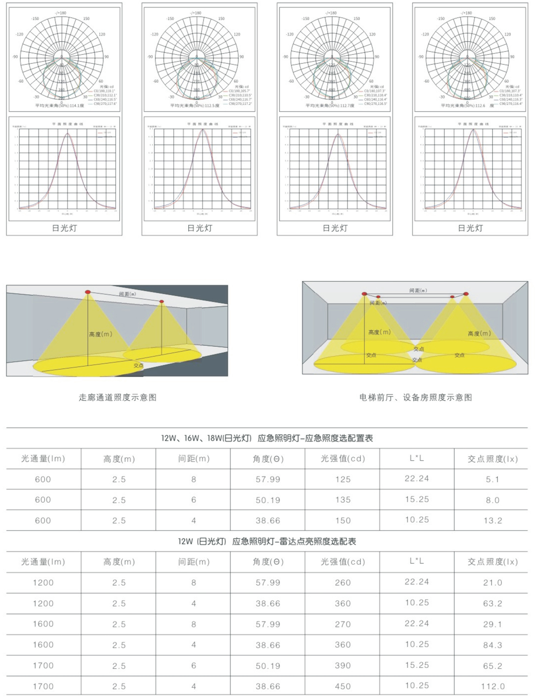 威宣31號_19.jpg