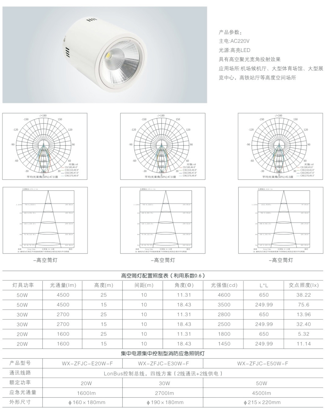 威宣31號_22-1.jpg